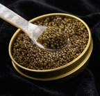 Premium Amber Kaluga Hybrid