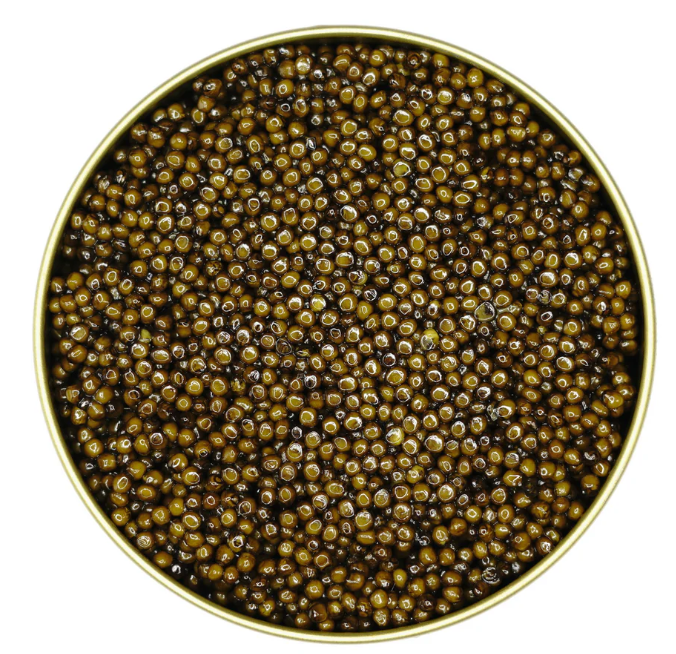 Premium Amber Kaluga Hybrid